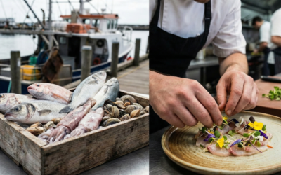 Professional Seafood Preparation: From Bait to Plate