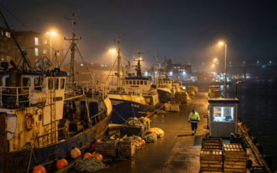 Dock After Dark: Harbor Safety Guide