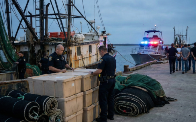 Poaching Penalties: Illegal Fishing as Organized Crime