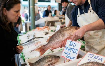 Seafood Fraud: How Mislabeled Species Deceive Consumers