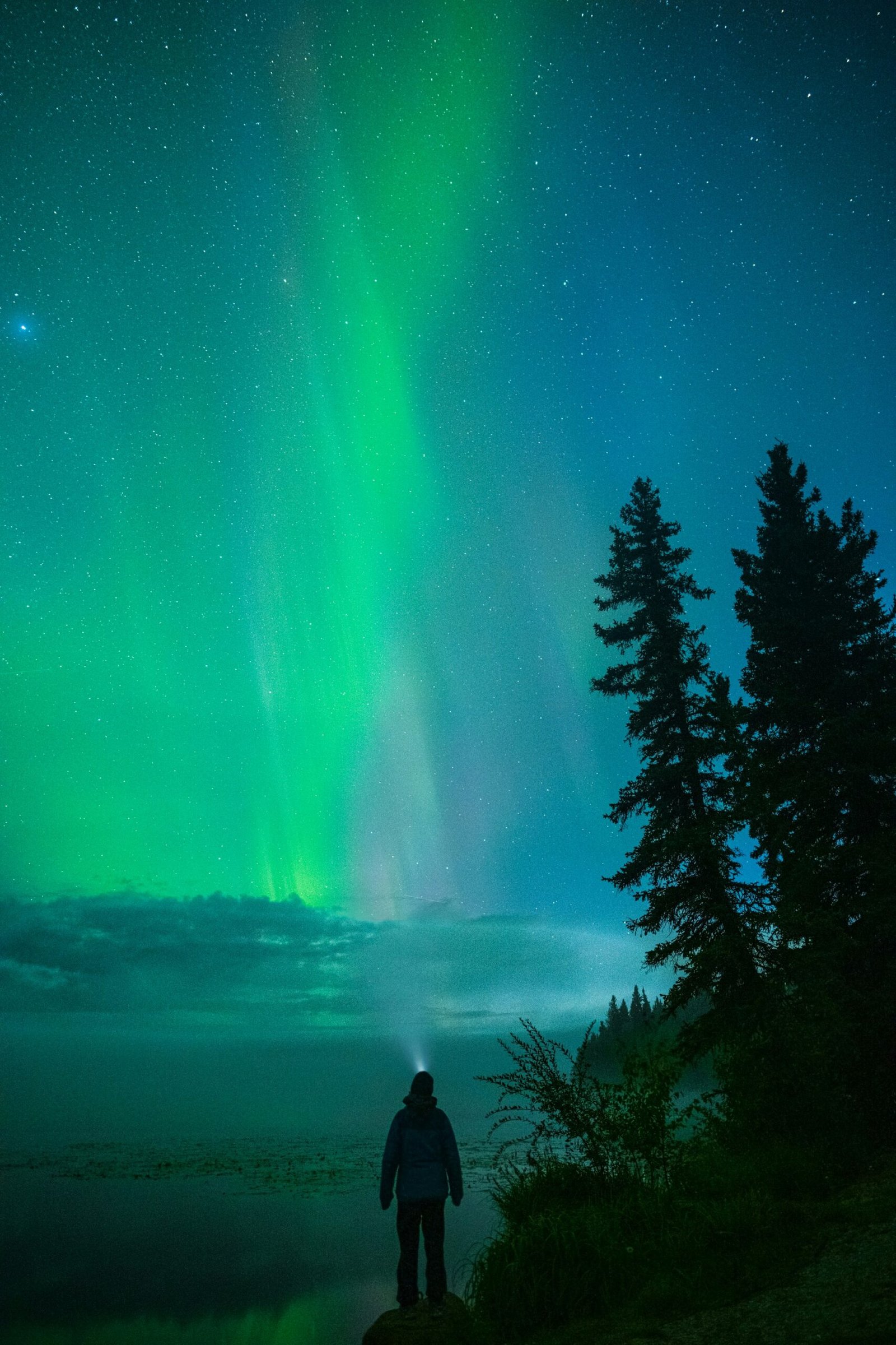 Alaska Sky