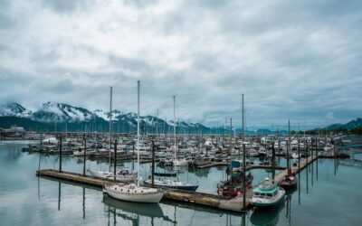 Ice to Water: Transplants Adapting to Seasonal Harbor Towns