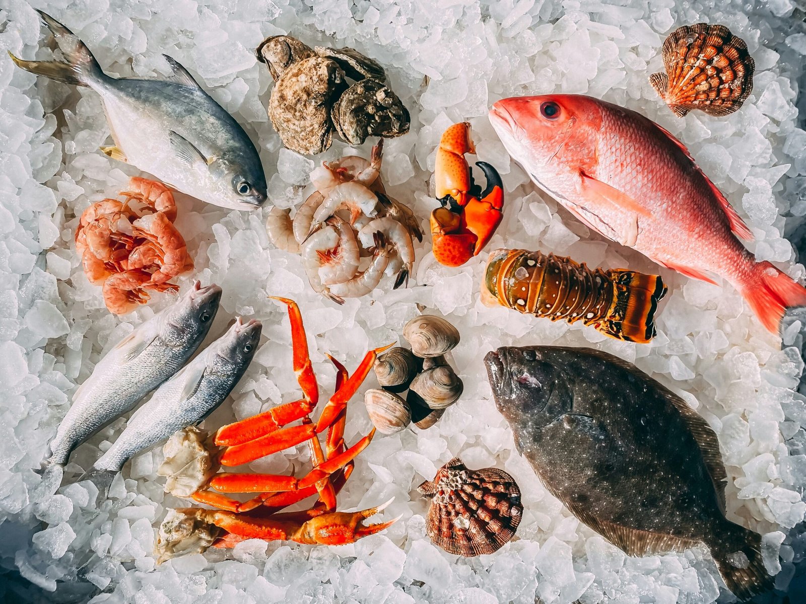 orange and white fish on black and white pebbles shows seafood in Seafood in Alaskan Culture