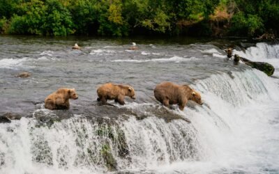 Alaska’s Natural Wonders: Rivers, Glaciers, and Parks