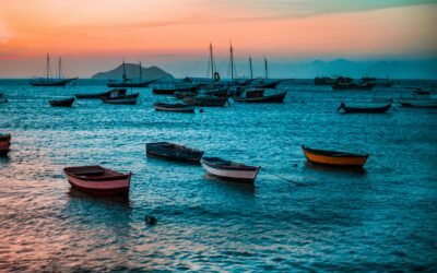 Dockside Dreams: Daily Life Where Boats Outnumber Cars