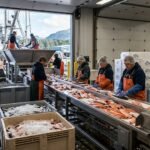 seafood processing