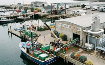 Harbor Infrastructure Explained: The Facilities That Keep Fishing Ports Operating