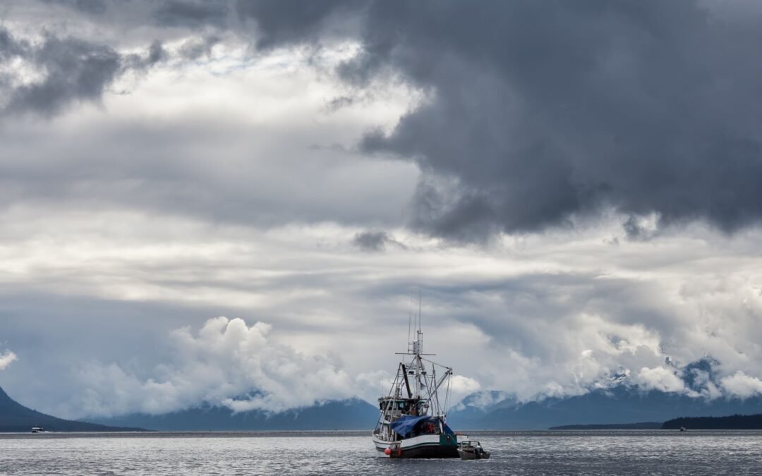 Inside Alaska’s Commercial Fishing Seasons: What Happens Throughout the Year