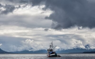 Inside Alaska’s Commercial Fishing Seasons: What Happens Throughout the Year